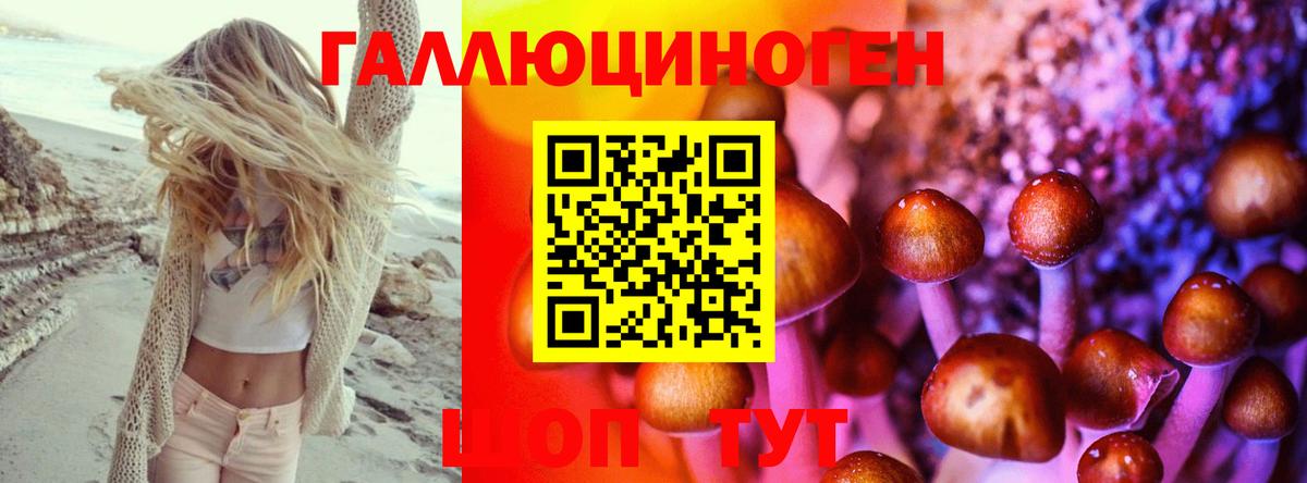 Галлюциногенные грибы мухоморы Верхняя Пышма