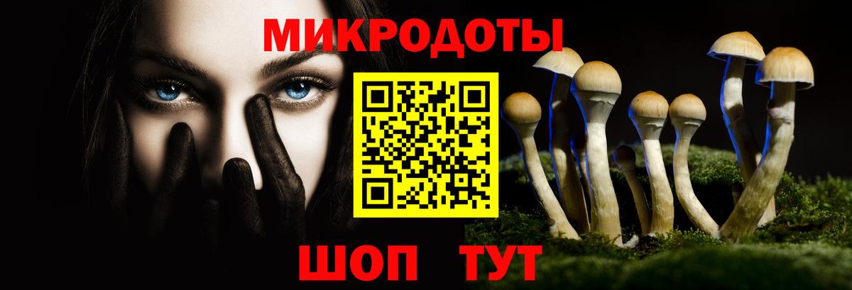 Верхняя Пышма  Псилоцибиновые грибы Magic Shrooms  Вход с VPN 